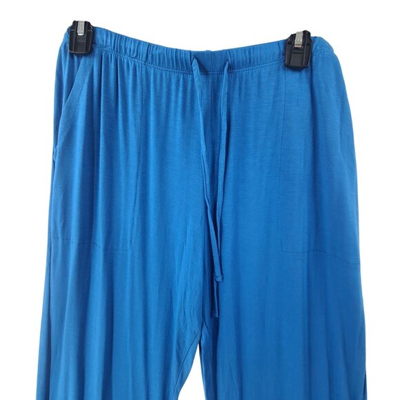 Auden NWT Pants Cloundwear Sleepwear ajama Pants Blue Women's Size L - Picture 3 of 7